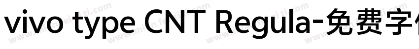 vivo type CNT Regula字体转换